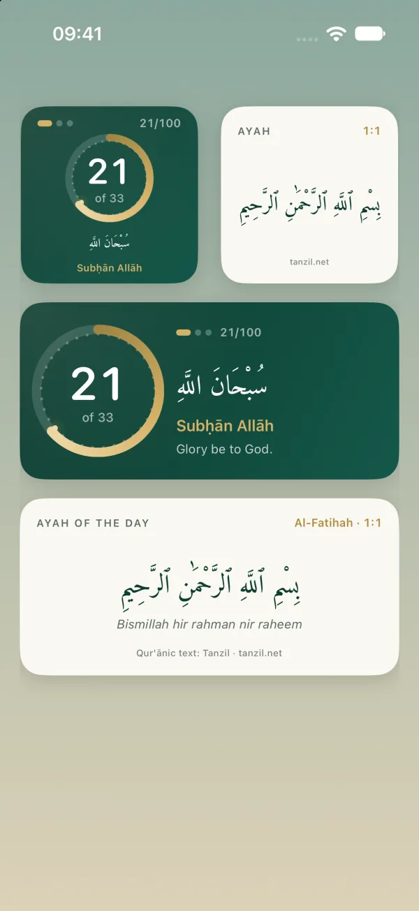 Sabrfy widgets